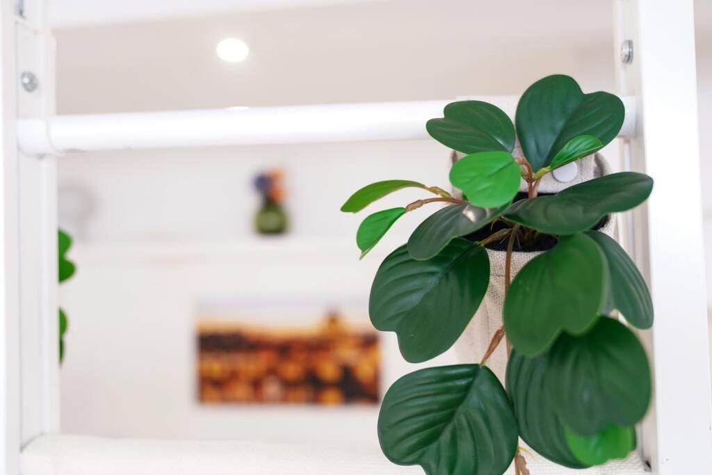 Babuino Terrace Apartman Róma Kültér fotó